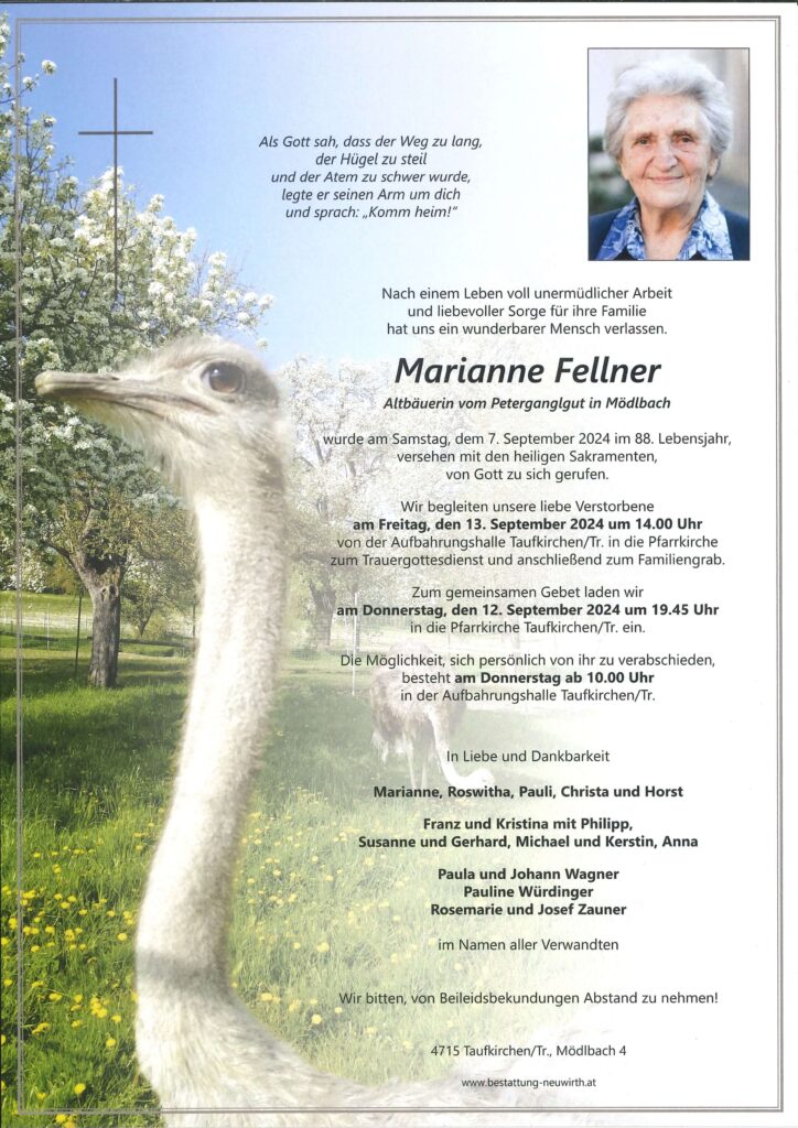 Marianne Fellner